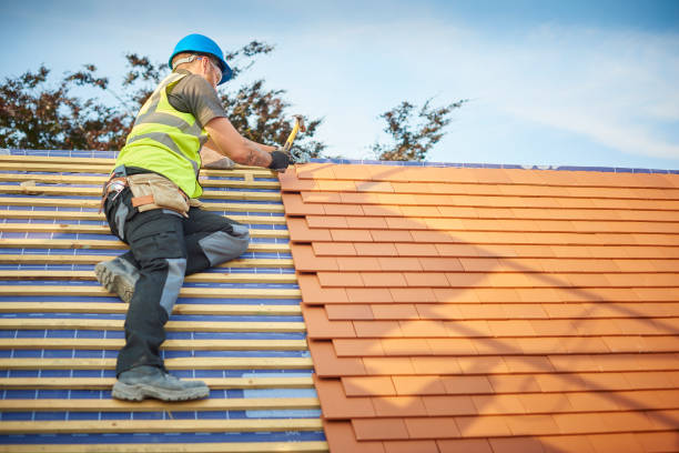 Best Roof Insulation Installation  in New Town, ND